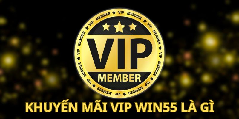 Tìm hiểu về khuyến mãi VIP Win55 là gì?